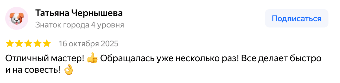 Отзыв Татьяна Чернышева — скриншот Яндекс.Карт