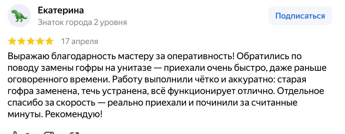 Отзыв Екатерина — скриншот Яндекс.Карт
